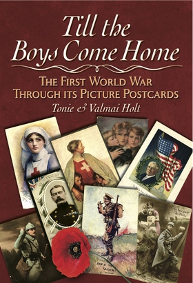 Till the Boys Come Home (e-bok) av Tonie Holt, 