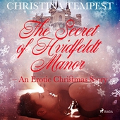 The Secret of Hvidfeldt Manor - An Erotic Christmas Story