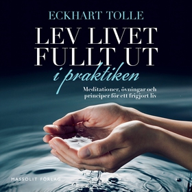 Lev livet fullt ut i praktiken : meditationer, 