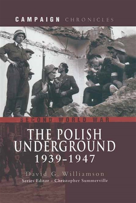 The Polish Underground 1939-1947 (e-bok) av Dav