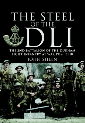 Steel of the DLI (2nd Bn 1914/18) (e-bok) av Jo