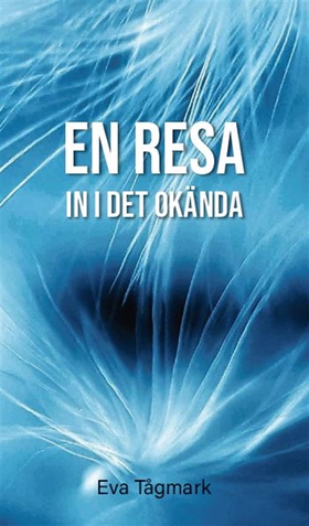 En resa in i det okända (e-bok) av Eva Tågmark