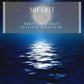 Sov Gott (ljudbok) av Jeanette Juhnestam