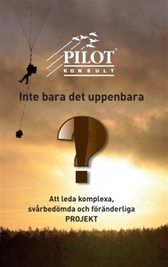 Inte bara det uppenbara (e-bok) av Sten-Åke Han
