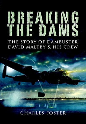 Breaking the Dams (e-bok) av Charles Foster