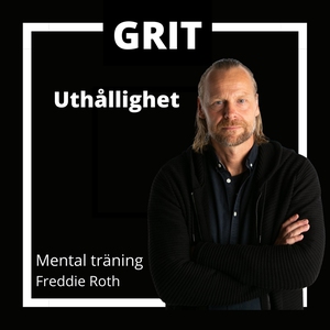 Uthållighet (ljudbok) av Freddie Roth