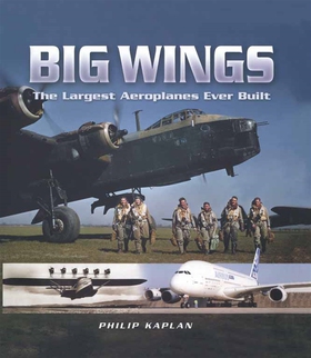 Big Wings (e-bok) av Philip Kaplan