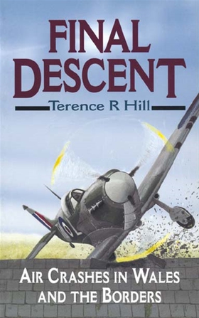 Final Descent (e-bok) av Terence Hill