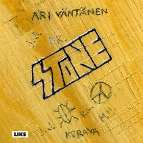 Stone (ljudbok) av Ari Väntänen