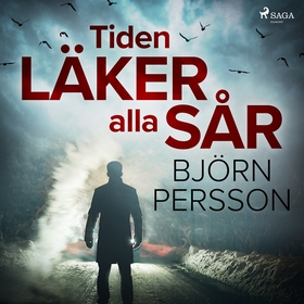 Tiden läker alla sår (ljudbok) av Björn Persson