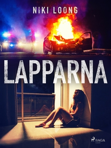 Lapparna (e-bok) av Niki Loong