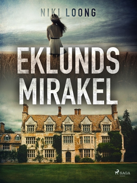 Eklunds mirakel (e-bok) av Niki Loong