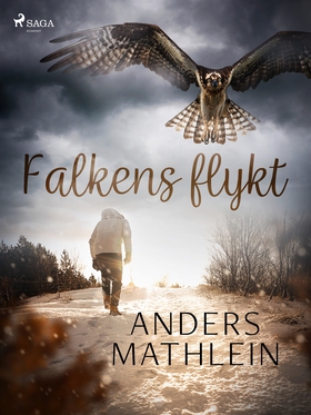Falkens flykt (e-bok) av Anders Mathlein