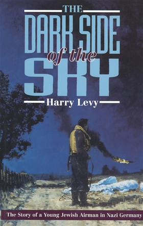 The Dark Side of the Sky (e-bok) av Harry Levy