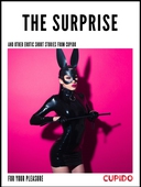 The Surprise - and other erotic short stories