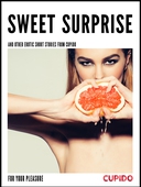 Sweet surprise - and other erotic short stories