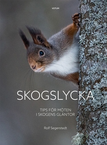 Skogslycka: Tips för möten i skogens gläntor (e