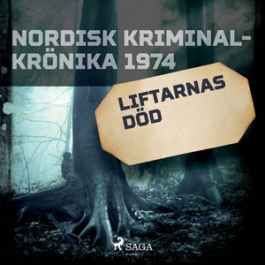 Liftarnas död (ljudbok) av Diverse