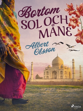 Bortom sol och måne (e-bok) av Albert Olsson