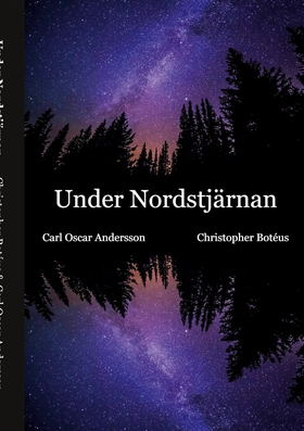 Under Nordstjärnan (e-bok) av Christopher Botéu