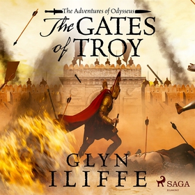 The Gates of Troy (ljudbok) av Glyn Iliffe