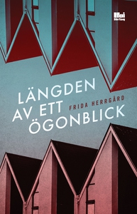 Längden av ett ögonblick (e-bok) av Frida Herrg