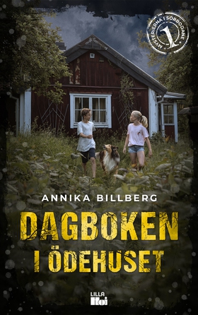 Dagboken i ödehuset (e-bok) av Annika Billberg