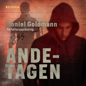 Ande-tagen (ljudbok) av Daniel Goldmann