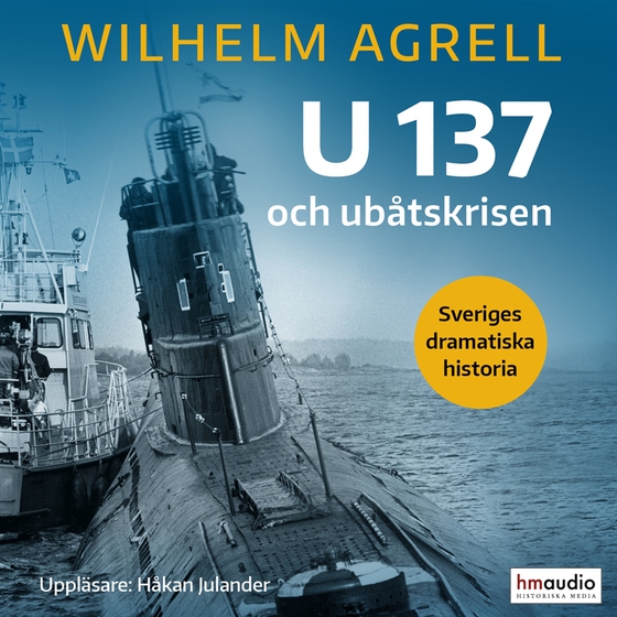 U 137 och ubåtskrisen