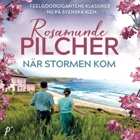 När stormen kom (ljudbok) av Rosamunde Pilcher