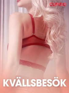 Kvällsbesök - erotiska noveller (e-bok) av Cupi