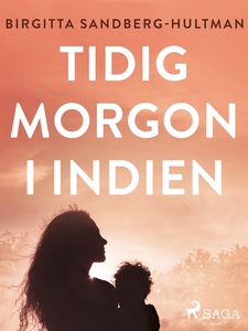 Tidig morgon i Indien (e-bok) av Birgitta Sandb