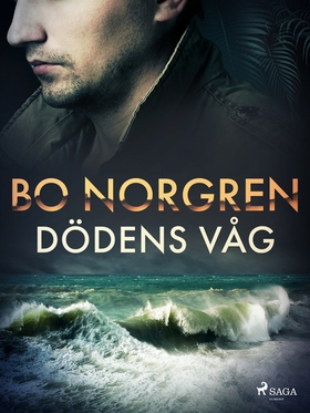 Dödens våg (e-bok) av Bo Norgren