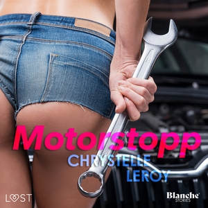 Motorstopp - erotisk novell (ljudbok) av Chryst