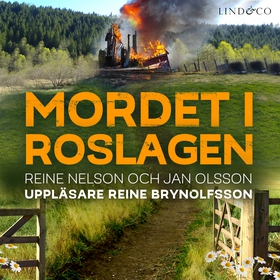 Mordet i Roslagen (ljudbok) av Jan Olsson, Rein