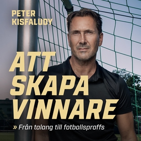 Att skapa vinnare (ljudbok) av Peter Kisfaludy,