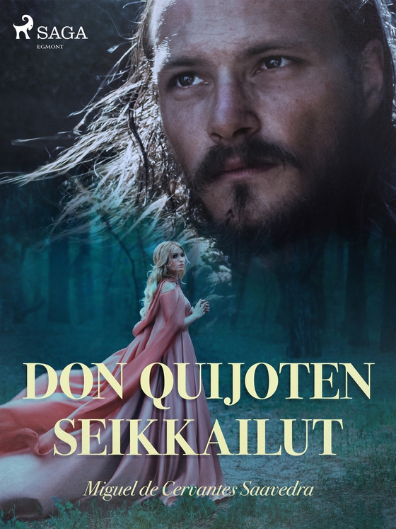 Don Quijoten seikkailut