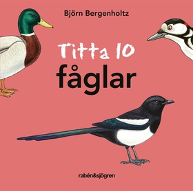 Titta 10 fåglar (e-bok) av Björn Bergenholtz