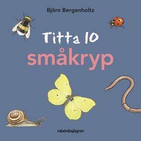 Titta 10 småkryp (e-bok) av Björn Bergenholtz