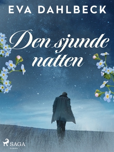 Den sjunde natten (e-bok) av Eva Dahlbeck