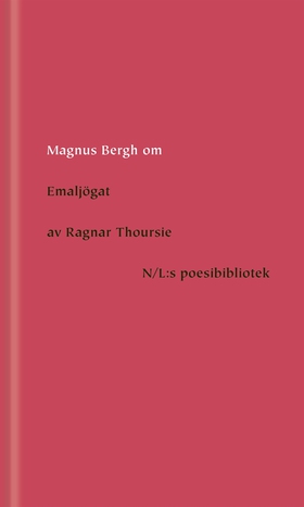 Om Emaljögat av Ragnar Thoursie (e-bok) av Magn