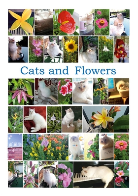 Cats and Flowers: 35 children song games (e-bok