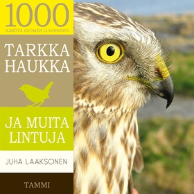 Tarkka haukka ja muita lintuja (ljudbok) av Juh