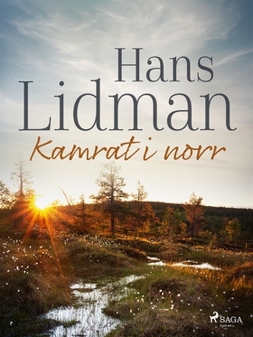 Kamrat i norr (e-bok) av Hans Lidman