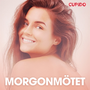 Morgonmötet - erotiska noveller (ljudbok) av Cu