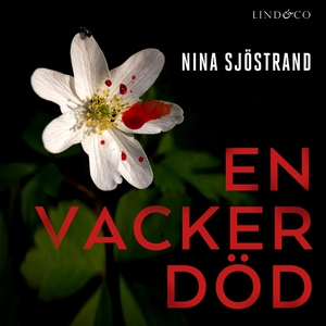 En vacker död (ljudbok) av Nina Sjöstrand