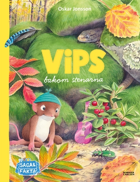 Vips bakom stenarna (e-bok) av Oskar Jonsson