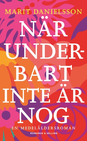 När underbart inte är nog : en medelåldersroman
