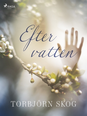 Efter vatten (e-bok) av Torbjörn Skog