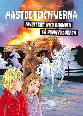 Mysteriet med branden på ponnyklubben (e-bok) a